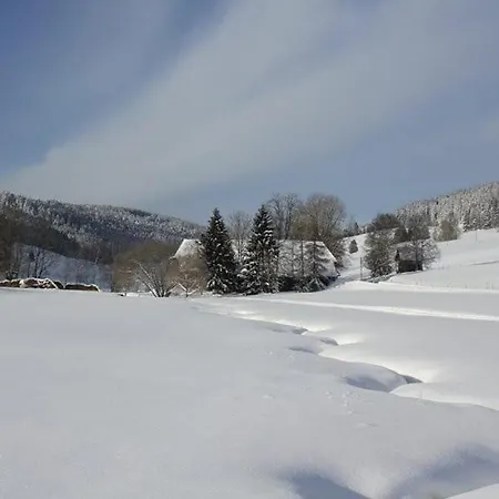 Holiday home Gemuetlicher Schwarzwaelder Kornspeicher Korni Am Griesbachhof Titisee-Neustadt