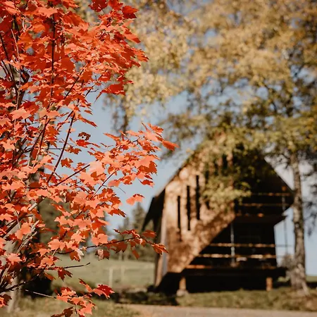 Gemuetlicher Schwarzwaelder Kornspeicher Korni Am Griesbachhof * Titisee-Neustadt